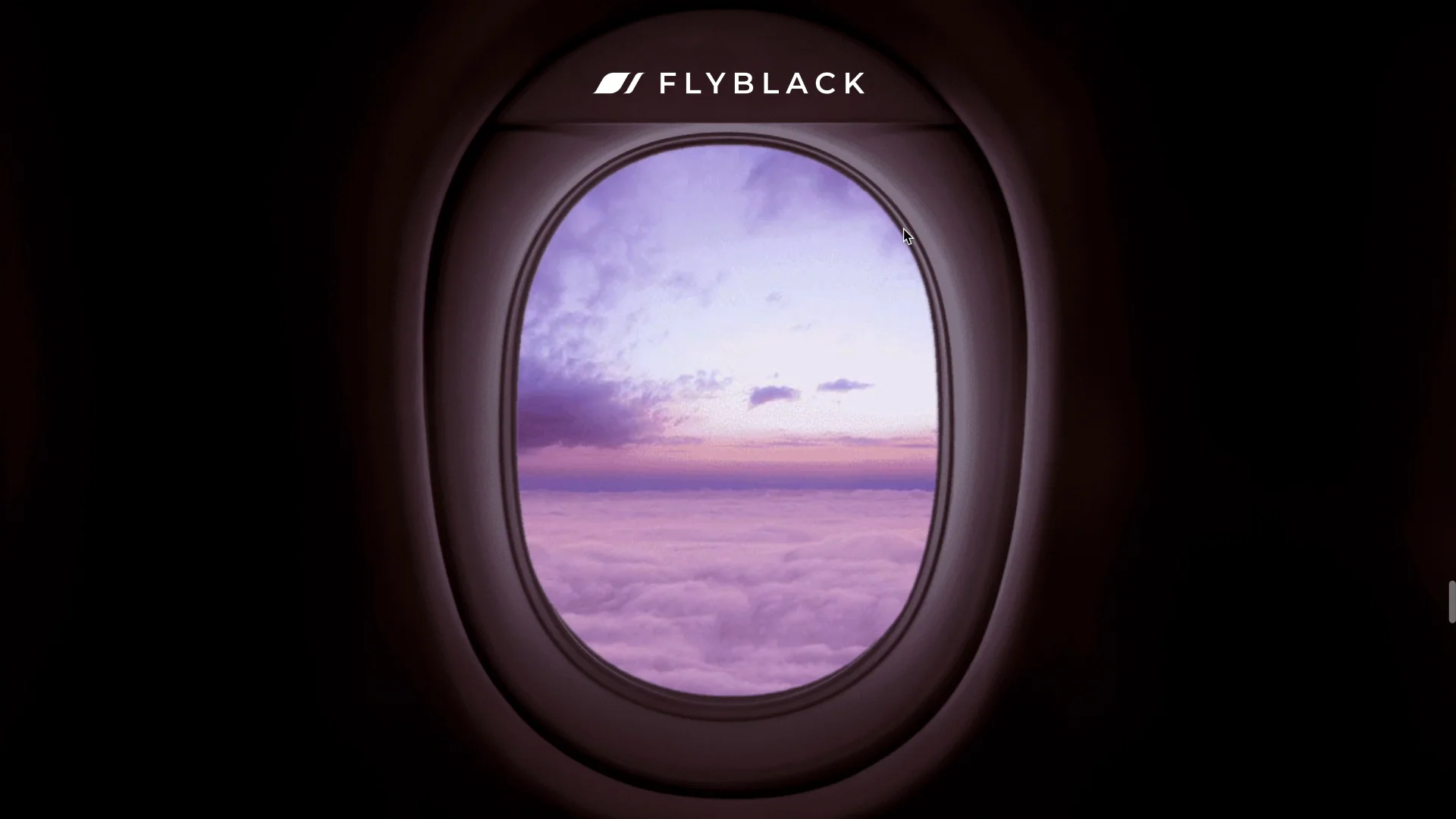 Flyblack